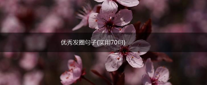 优秀发圈句子(实用70句),第1张