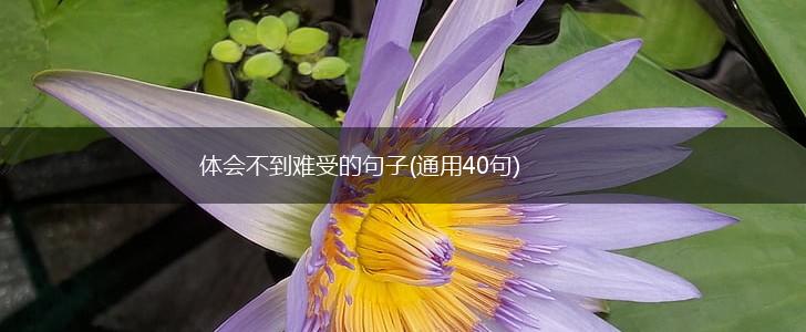 体会不到难受的句子(通用40句),第1张