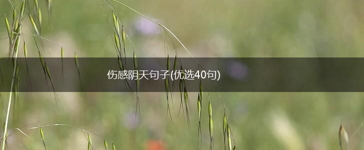 伤感阴天句子(优选40句),第1张
