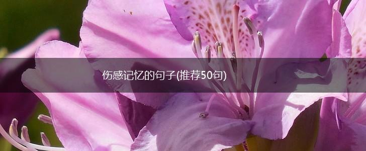 伤感记忆的句子(推荐50句),第1张
