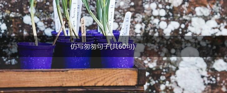 仿写匆匆句子(共60句),第1张