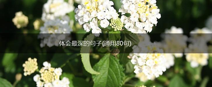 体会最深的句子(通用80句),第1张