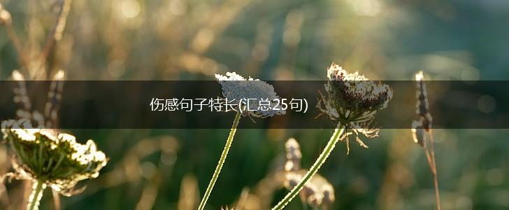 伤感句子特长(汇总25句),第1张