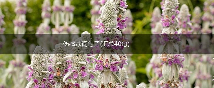 伤感歌词句子(汇总40句),第1张