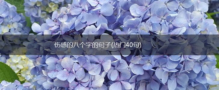 伤感的八个字的句子(热门40句),第1张