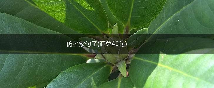 仿名家句子(汇总40句),第1张