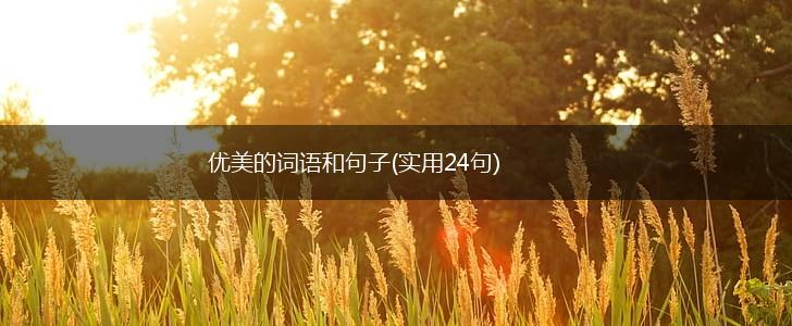 优美的词语和句子(实用24句),第1张