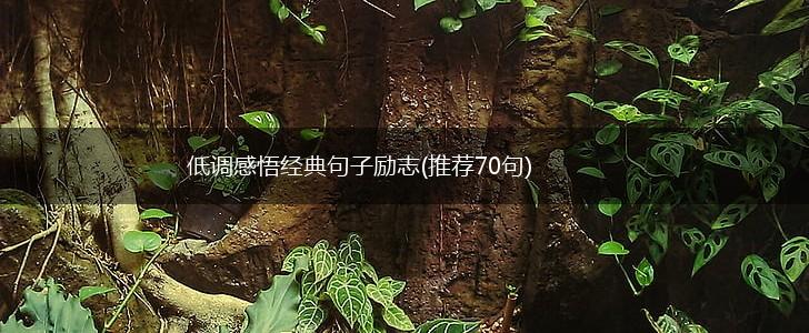 低调感悟经典句子励志(推荐70句),第1张