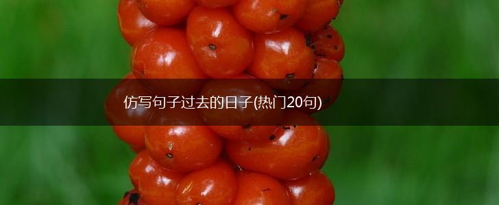 仿写句子过去的日子(热门20句),第1张