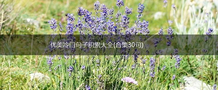 优美冷门句子积累大全(合集30句),第1张