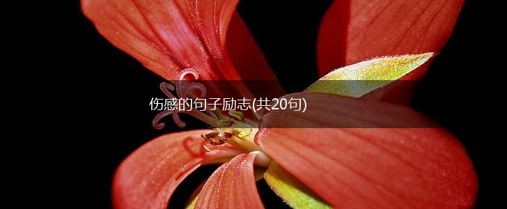 伤感的句子励志(共20句),第1张