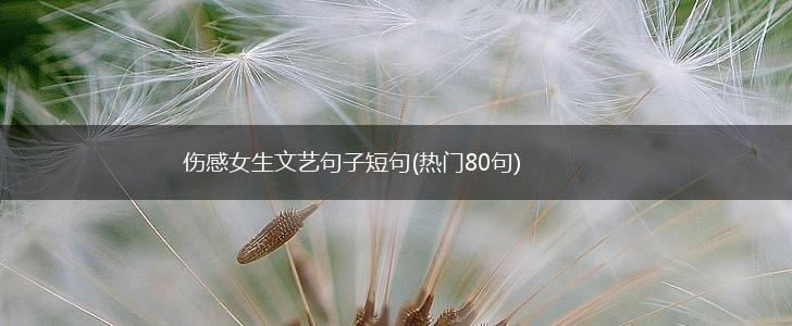 伤感女生文艺句子短句(热门80句),第1张