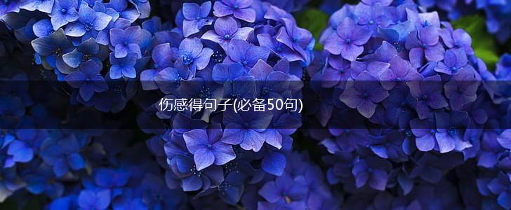 伤感得句子(必备50句),第1张