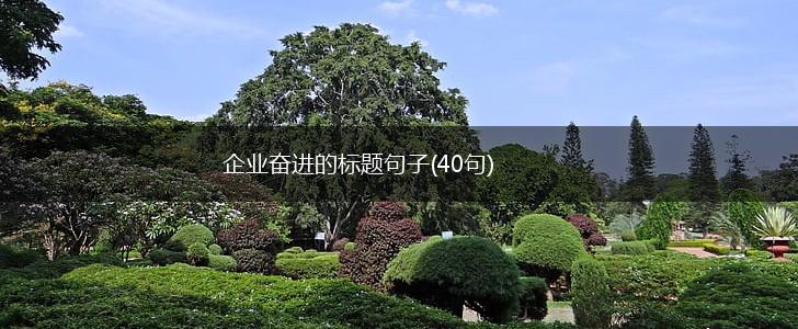 企业奋进的标题句子(40句),第1张