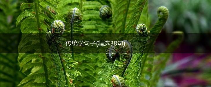 传统学句子(精选38句),第1张