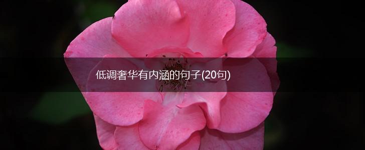 低调奢华有内涵的句子(20句),第1张