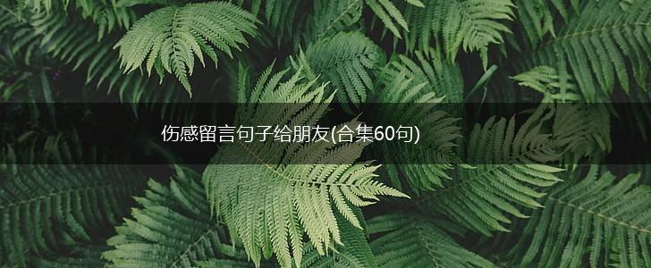 伤感留言句子给朋友(合集60句),第1张