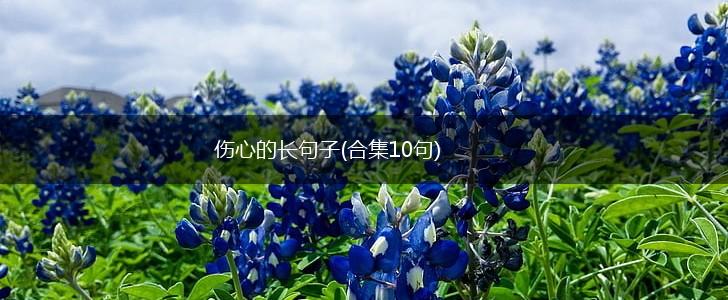 伤心的长句子(合集10句),第1张