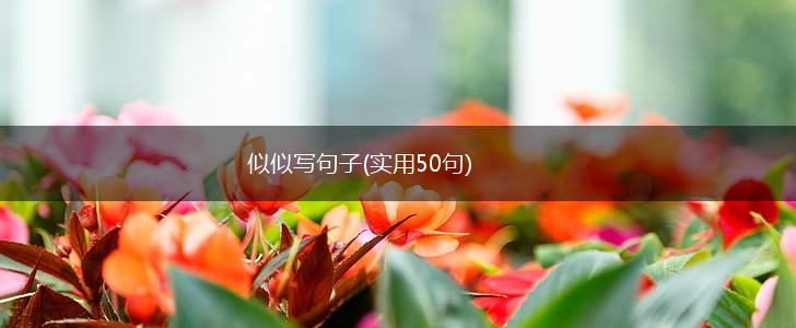 似似写句子(实用50句),第1张