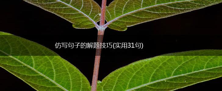 仿写句子的解题技巧(实用31句),第1张