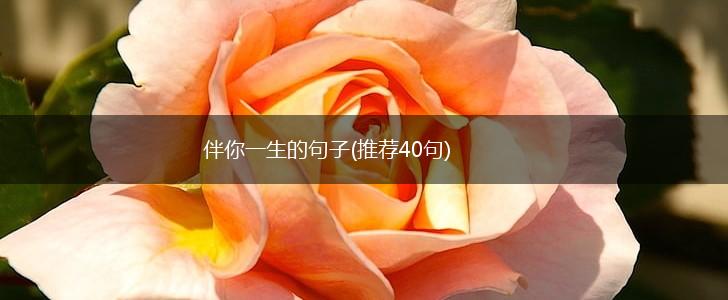 伴你一生的句子(推荐40句),第1张