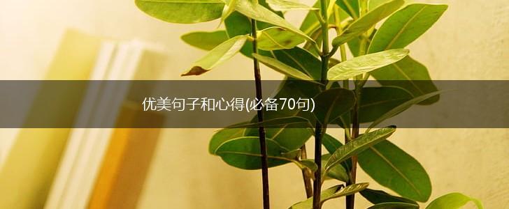 优美句子和心得(必备70句),第1张