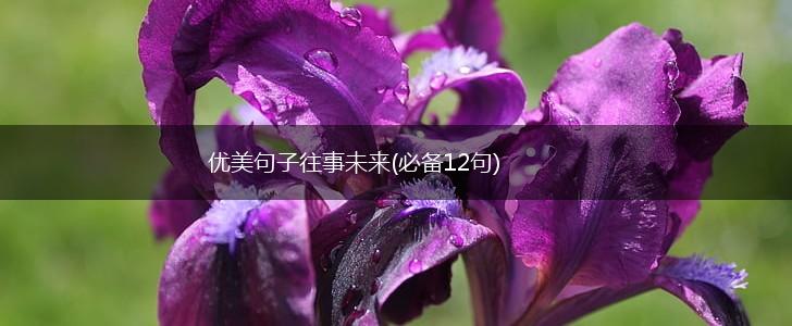 优美句子往事未来(必备12句),第1张