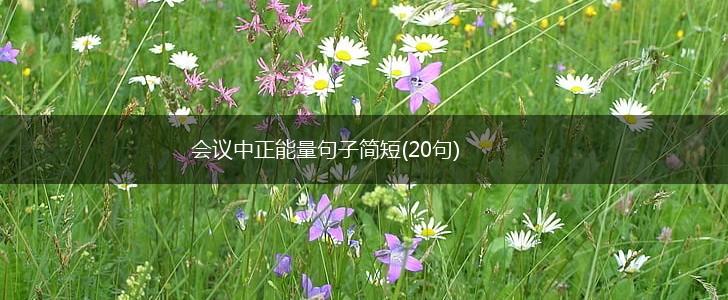 会议中正能量句子简短(20句),第1张