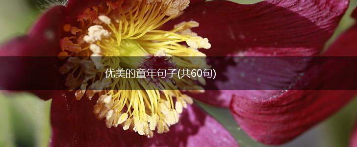 优美的童年句子(共60句),第1张