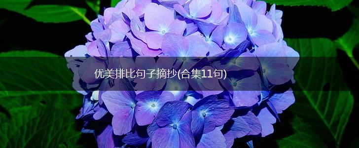 优美排比句子摘抄(合集11句),第1张