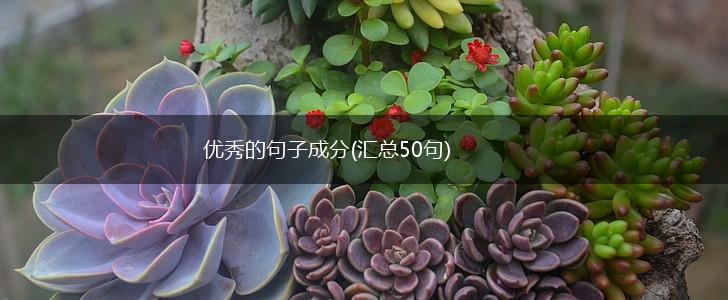 优秀的句子成分(汇总50句),第1张