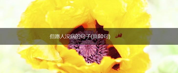 但愿人没病的句子(共80句),第1张