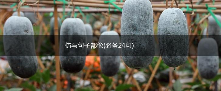 仿写句子都像(必备24句),第1张