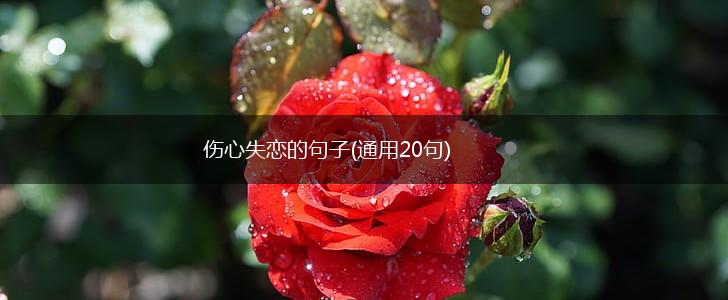 伤心失恋的句子(通用20句),第1张
