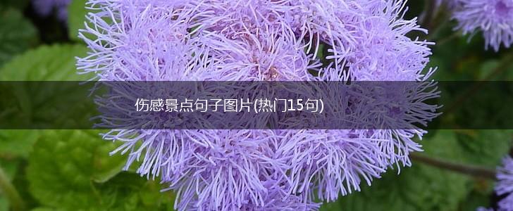 伤感景点句子图片(热门15句),第1张