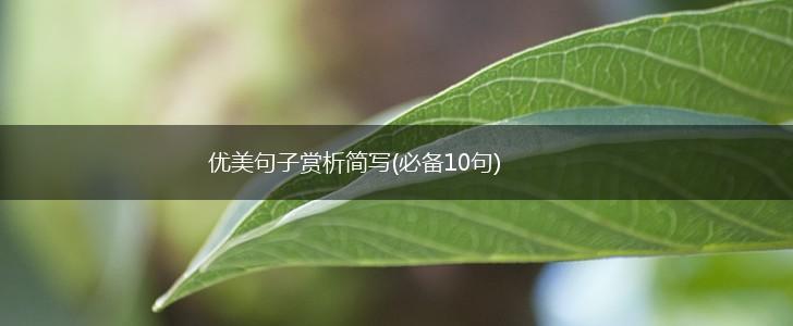 优美句子赏析简写(必备10句),第1张