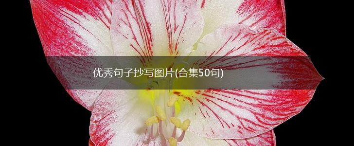 优秀句子抄写图片(合集50句),第1张
