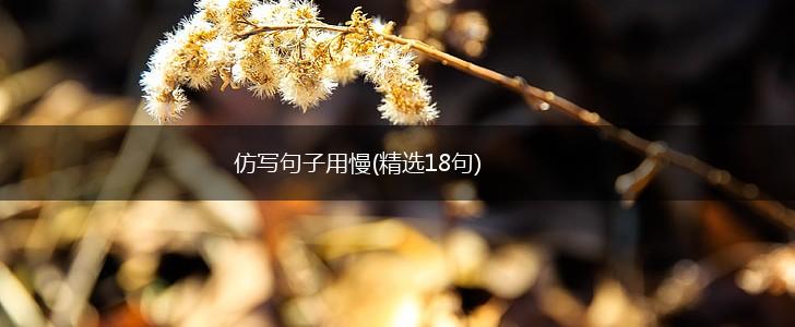 仿写句子用慢(精选18句),第1张