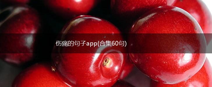 伤痛的句子app(合集60句),第1张