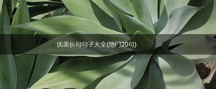 优美长句句子大全(热门20句),第1张