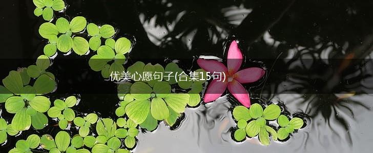 优美心愿句子(合集15句),第1张