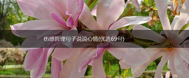 伤感哲理句子说说心情(优选69句),第1张
