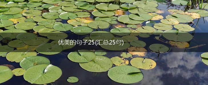 优美的句子25(汇总25句),第1张