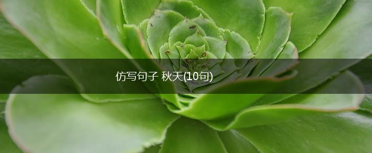 仿写句子 秋天(10句),第1张