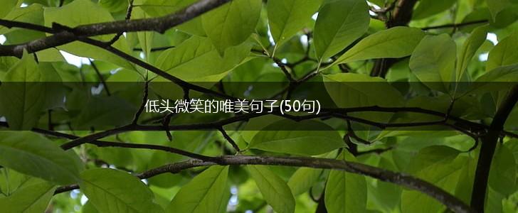 低头微笑的唯美句子(50句),第1张