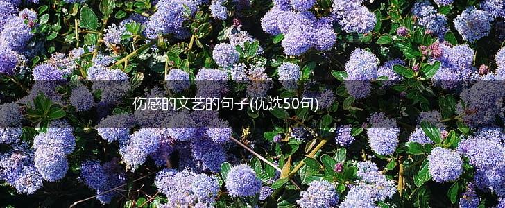 伤感的文艺的句子(优选50句),第1张