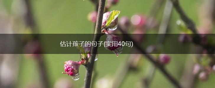 估计孩子的句子(实用40句),第1张