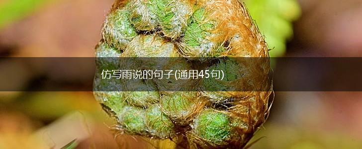 仿写雨说的句子(通用45句),第1张