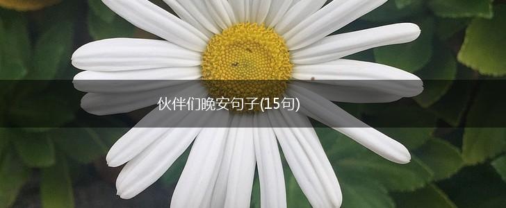 伙伴们晚安句子(15句),第1张