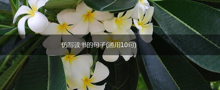 仿写读书的句子(通用10句),第1张
